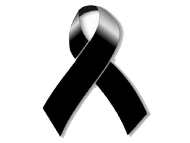 mono-negro-800x600