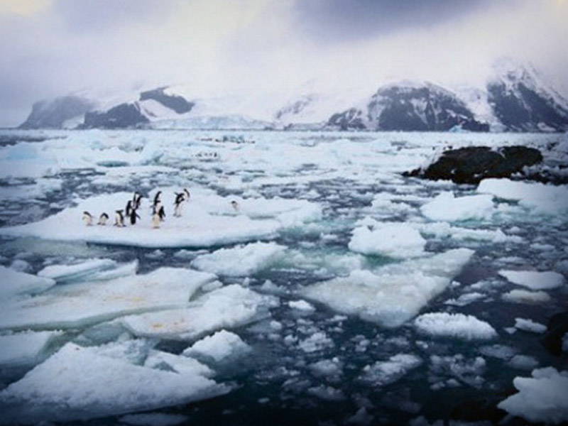 Resultado de imagen para imagenes antartica derrite