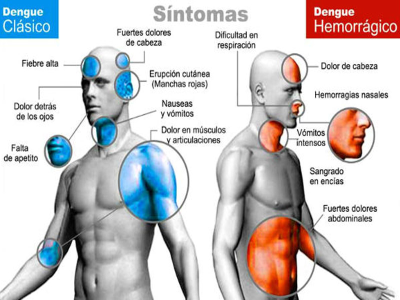 DENGUE HEMORRÁGICO AVANZA PELIGROSAMENTE EN CHIAPAS, 9 MUERTOS - DENGUE HEMORRÁGICO AVANZA PELIGROSAMENTE EN CHIAPAS, 9 MUERTOS -