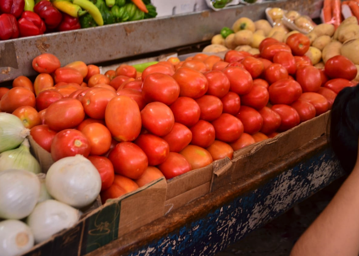 Precio del tomate favorece a comerciantes del mercado principal